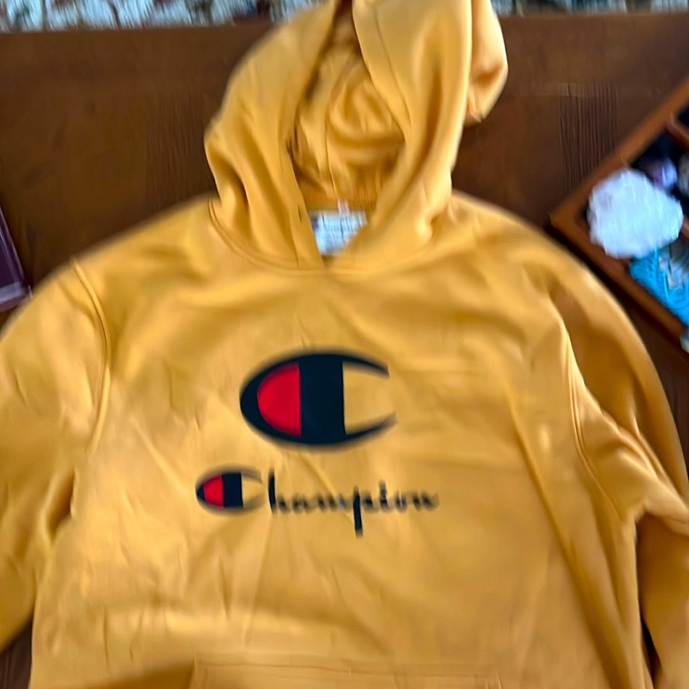 Champion sweatshirt hoodie